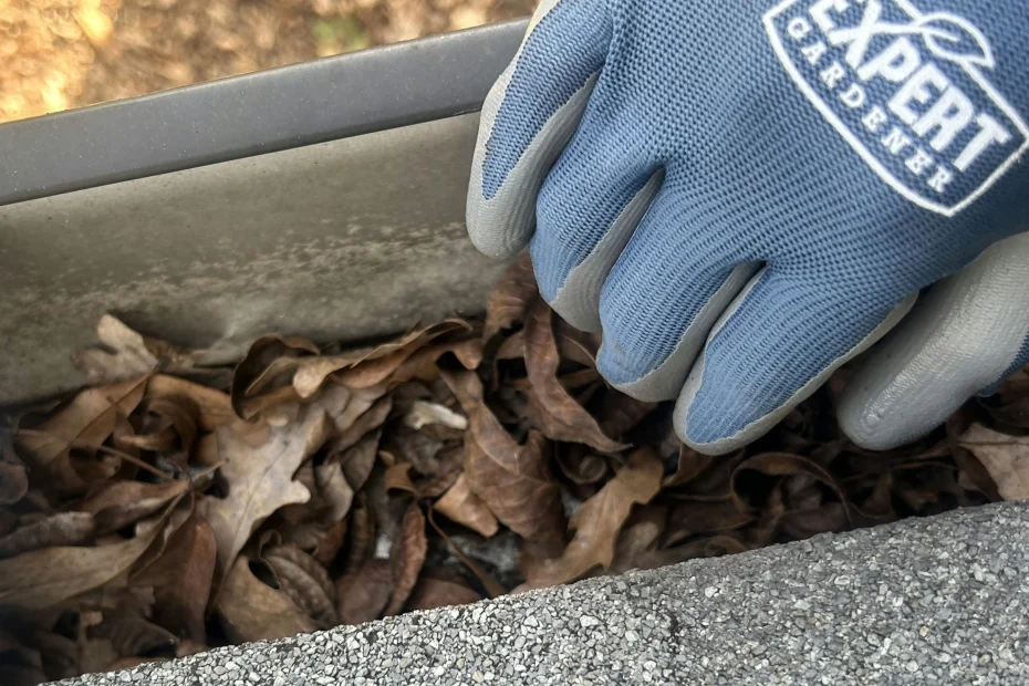 Gutter Cleaning Missouri City, TX